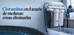 Sistema de filtración para acuario de medusas