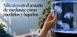Muestra de agua junto a un tanque de medusas