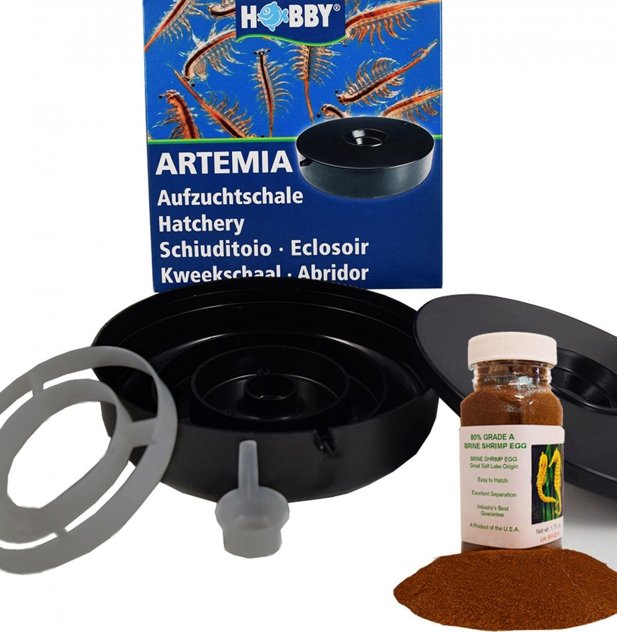 Cómo eclosionar artemia para tus medusas paso a paso 2 Incubador de alimento vivo