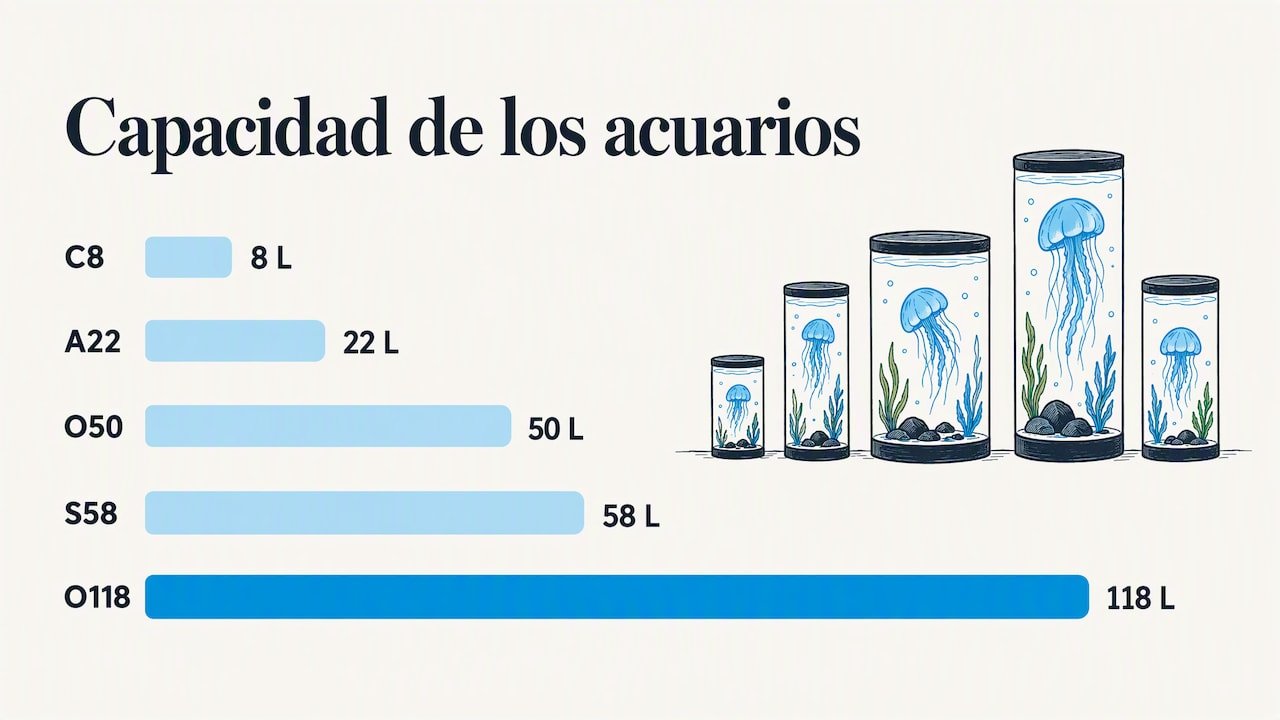 Temperatura del acuario para medusas: rangos y control 2 El tamaño del acuario también pesa — overview diagram